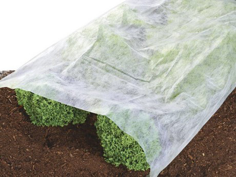biodegradable fabric bags