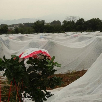 Buy Thermal Insulation Agricultural Nonwoven Seeding Cultivation Water-Saving Weed Control online manufacture