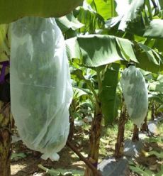 Buy Weed Control Agriculture PP Nonwoven for Planting Customize Weight Color Width Length online manufacture