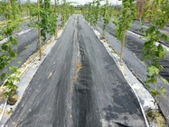 Non - Toxic Weed Barrier Agriculture Non Woven Fabric Degradable For Horticulture / Agriculture