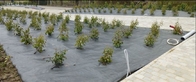 Ground Cover Non Woven Weed Control Fabric , Non Woven Synthetic Fabric