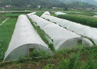 Degradable PP Non Woven Fabric , Plant Cover Ground Weed Control Fabric UV Resistant