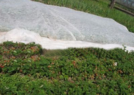 UV Resistant Non Woven Polypropylene Fabric Hydrophilic Against Grass Frostproof