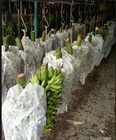 Eco Friendly Agriculture PP Non Woven Fabric 1% - 4% UV Treated OEM ODM