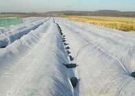 Breathable Hydrophobic PP Non Woven Fabric Anti Static For Agriculture