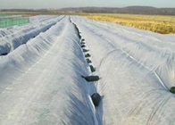 Breathable Hydrophobic PP Non Woven Fabric Anti Static For Agriculture
