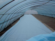Biodegradable PP Spunbond Non Woven Fabric For Gardening