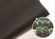 Biodegradable PP Spunbond Non Woven Fabric For Gardening