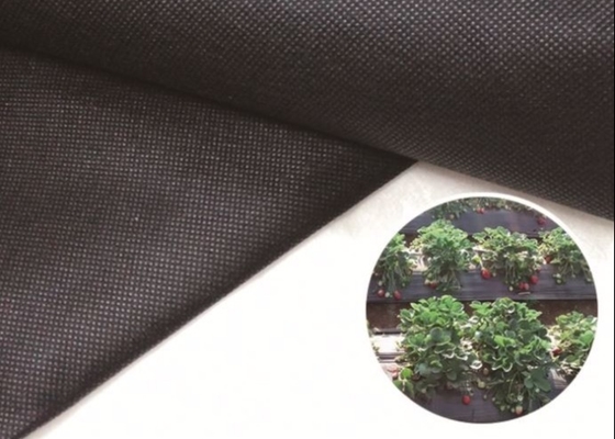 Buy Lightweight Disposable Premium Incontinence Management Fabric Customizable Logo online manufacture