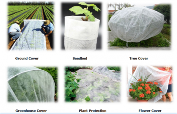 Breathable PP Non Woven Fabric , Garden Weed Control Fabric For Agriculture 0