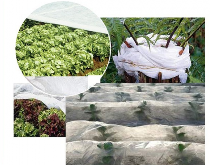 Breathable PP Non Woven Fabric , Garden Weed Control Fabric For Agriculture 1