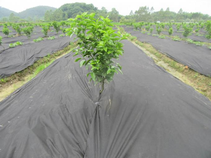 Non - Toxic Weed Barrier Agriculture Non Woven Fabric Degradable For Horticulture / Agriculture 0
