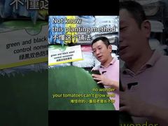 Two-color Nonwoven Green and Black to Weed-control and Light Reflect