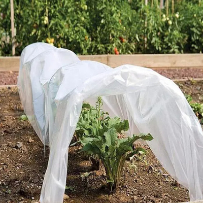 PP Nonwoven Fabric Agriculture Use for Protect Frost High Quality