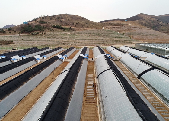 Agricultural Weed Control Cloth Supplier Or Manufacturer Or Factory