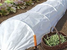 Agriculture Weed Barrier Fabric For Keep Temperature Pest Control Cloth For Wholesaler