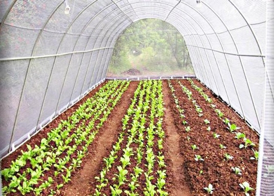 Hydrophobic Keep Temperature / Hydrophillic Keep Wet Nonwoven Fabric for Agriculture