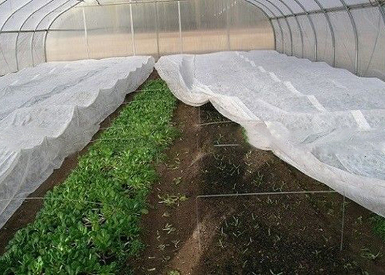 Winterproof PP Nonwoven Cloth Ultra-wide Customed Width Color