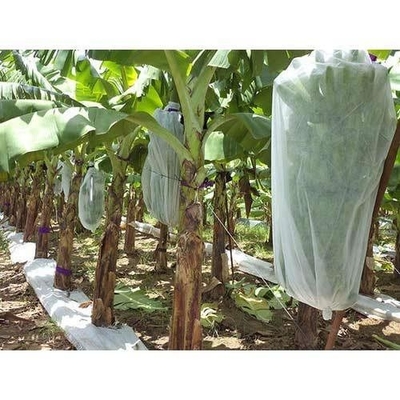 Hydrophilic Non Woven Biodegradable Fabric 50cm ~ 200cm Width For Ground Cover