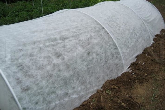 White Pp Spunbond Non Woven Fabric / Lightweight Biodegradable Non Woven Fabric