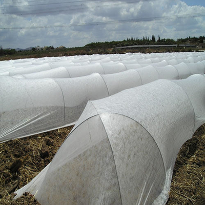 White Ground Cover Weed Control Fabric Lightweight Non Toxic For Fruit Trees