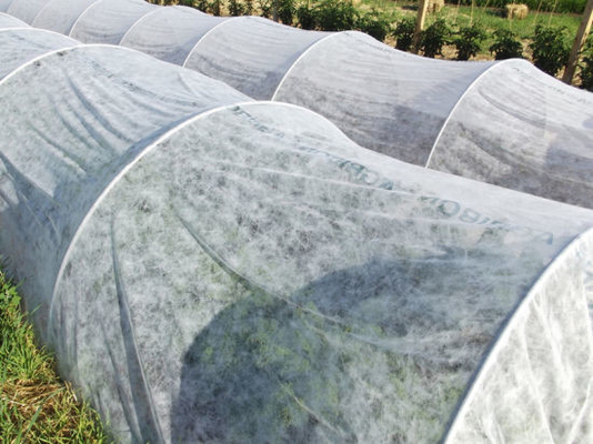 Anti Aging Agriculture Non Woven Fabric / Polypropylene Fabric Rolls For Agricultural Cover