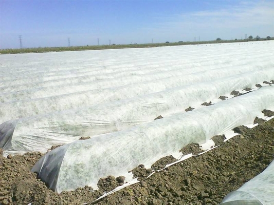 Cold - proof , Insect - proof, Heat - insulating Nonwoven Fabrics for Agriculture