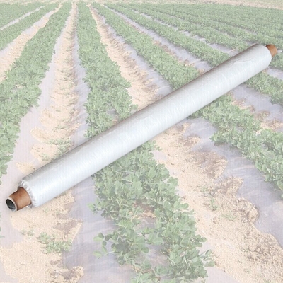 Agricultural Nonwoven Fabric , SMS , PP , PET , Anti-cold Anti-UV Anti-aging