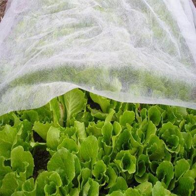 Durable Farm Frost - Resistant Agriculturer Nonwovens for Greenhouse & Field Use
