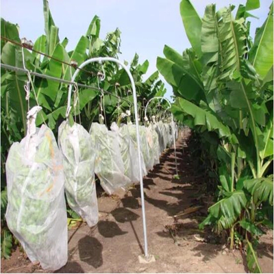 Breathable Nonwoven Fruit Cover Bags Agricultural Nonwoven For Banana And Grape Protection