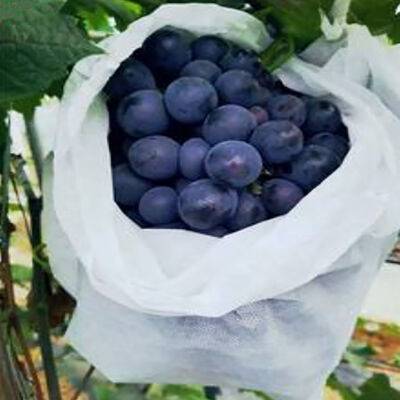Grape Banana Agricultural Nonwoven Fruit Sleeves Breathable for Wrapping Bags
