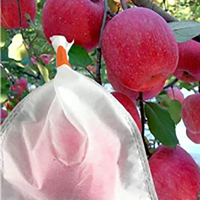 Anti UV Agricultural Nonwoven PP Hydrophobic Fruit Bag Protective For Apple Banana