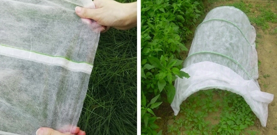 Degradable PP Non Woven Fabric , Plant Cover Ground Weed Control Fabric UV Resistant
