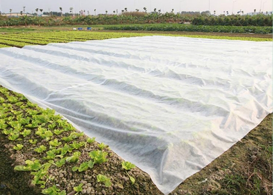 Ground Cover PP Agriculture Non Woven Fabric Soil Moisture Distribution