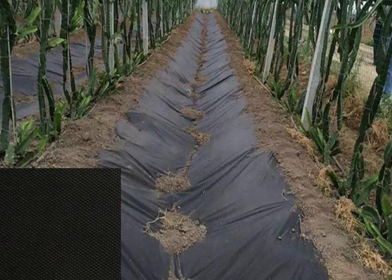 Hydrobilic Agriculture Non Woven Fabric PP Winter Protection No Pollution For Orchards