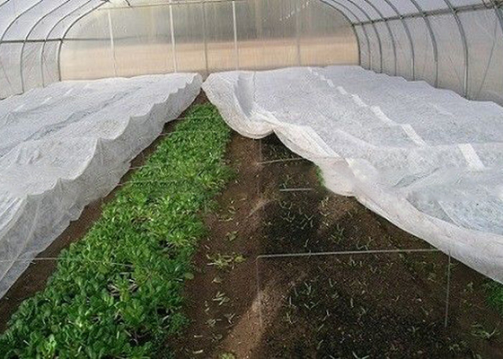 Good Transparency Agriculture Non Woven Fabric Non - Poisonous Frostproof Fabric