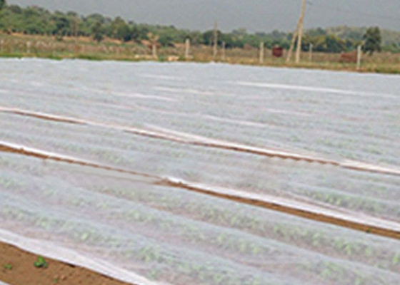 PP Coreless Spunbond Agriculture Non Woven Fabric Water Resistant Lightweight