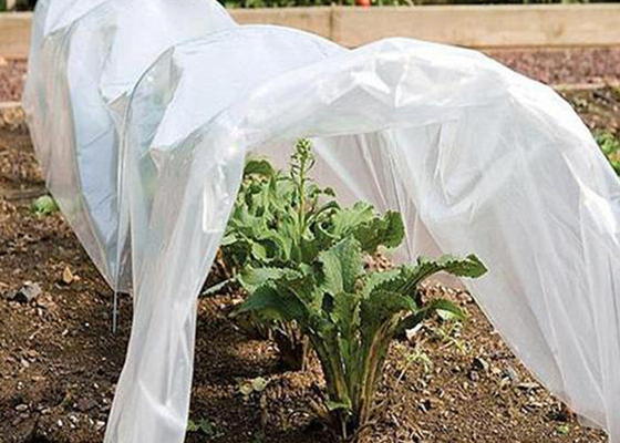 Tear Resistant PP Spunbond Nonwoven Fabric / Vegetable Garden Weed Control Fabric