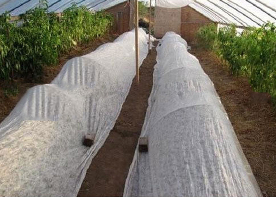 Non Toxic Agriculture Non Woven Fabric Anti Mildew 1% - 4% UV Treated 300g/M2