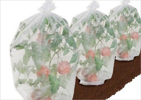 300gsm Agriculture Non Woven Fabric ISO9001 For Gardening